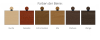 Übersicht der Holzfarben für Möbelbeine: Buche, Eiche, Walnuss und Wenge.