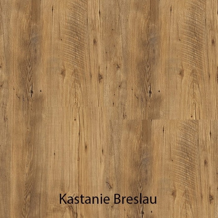 Kastanie Breslau.jpg