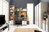 Komplette Einrichtung für Arbeitszimmer mit Schreibtisch, Aktenschrank und TV-Board.