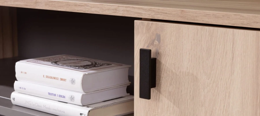 Schwarzer Griff an einer hellen Holztür, Detailansicht eines Sideboards mit Büchern.