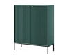 Moderner Schrank in Dunkelgrün mit schwarzen Metallbeinen und Rillen-Design.