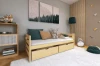 Stilvolles Kinderzimmer mit Kiefernholzbett, Kletterwand und dekorativen Wald-Bildern an der Wand.
