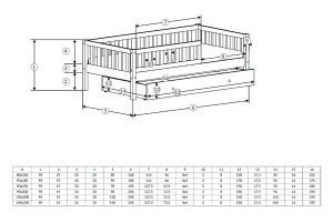 SOPHIA 120x200 Kiefer Kinderbett mit einer Schublade Deine Möbel