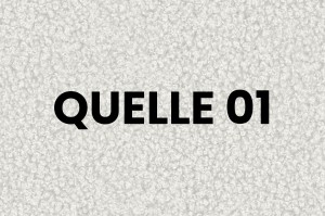 VIVIAN Polsterbett mit Bettkasten und Lattenrost Bouclé Deine Möbel