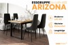 Essgruppe Arizona im Loft-Stil mit Holztisch, dunklen Stühlen und Produktvorteilen.