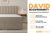 Infografik zum David Boxspringbett mit Highlights: Bettkästen, Farbauswahl und inkludierter Kaltschaum-Topper.