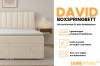 Infografik zum Boxspringbett David mit Details zu Bettkästen, Farbauswahl und Topper.