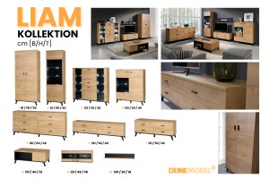 LIAM B Wohnzimmer-Set Wohnwand Set Eiche Lefkas Schwarz Deine Moebel