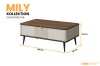 Moderner MILY Couchtisch 16 in Beige mit dunkler Holzoptik-Platte, Maße 100x60 cm.