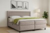 Modernes Schlafzimmer mit Boxspringbett John in Beige, Zimmerpflanze und Wandbildern.
