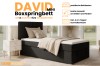 Infographic David Mini boxspring bed with bed storage and cold foam topper.