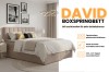 David Boxspringbett Infografik: Highlights wie Bettkästen, Farbwahl und 4 cm Kaltschaum-Topper.