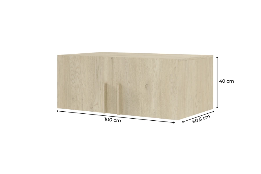 Dimensions of the cupboard: 100 cm width, 40 cm height and 60.5 cm depth.
