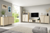 Helles, modernes Wohnzimmer mit komplettem Möbel-Set in Beige und Parkblick.