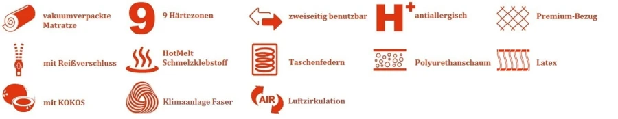Infografik mit Eigenschaften der Matratze: 9 Zonen, antiallergisch, Kokosschicht und Luftzirkulation.