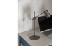 EICHE-ARANZ (3).jpg
