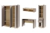 SET C-PORCINI-(15+16+12+14) (2).jpg