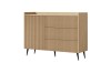 Modernes Sideboard aus hellem Holz mit Rillenfront und schwarzen Beinen.