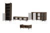 A+ (2+6+1+9) (2)