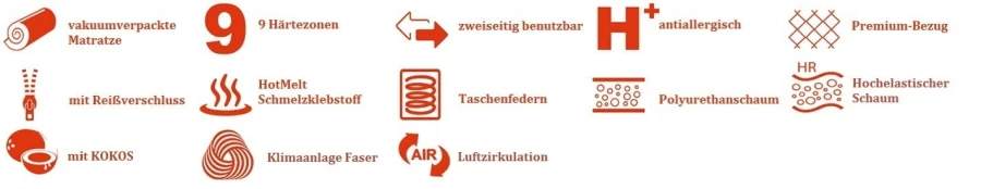 Vorteile der Matratze: 9 Zonen, antiallergisch, atmungsaktiv und langlebig.