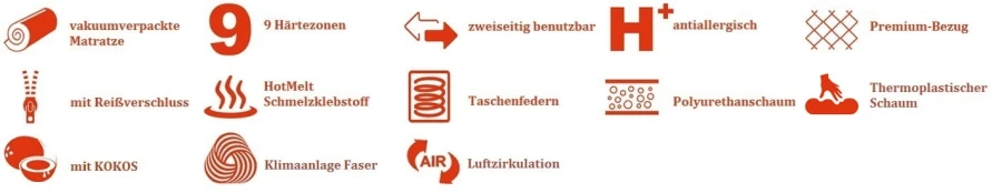 Infografik zu Matratzen-Eigenschaften: 9 Zonen, antiallergisch und gute Luftzirkulation.